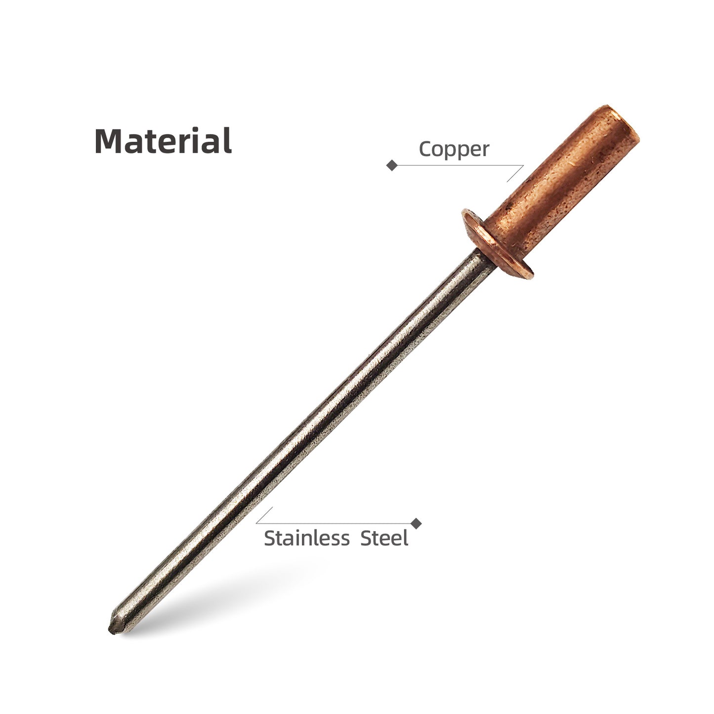 Closed End Rivets 1/8" (3.2mm) Diameter,Copper Dome Head with Stainless Steel Mandrel