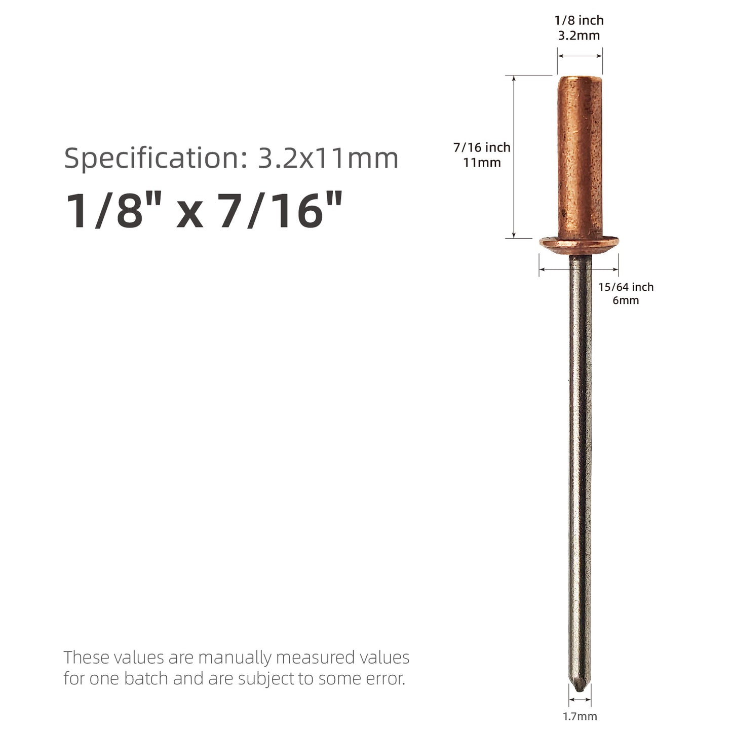 Closed End Rivets 1/8" (3.2mm) Diameter,Copper Dome Head with Stainless Steel Mandrel